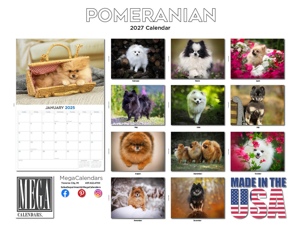 Pomeranian Wall Calendar 2027 - 12" x 9" 14-Month Dog Breed Calendar