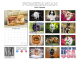 Pomeranian Wall Calendar 2027 - 12" x 9" 14-Month Dog Breed Calendar