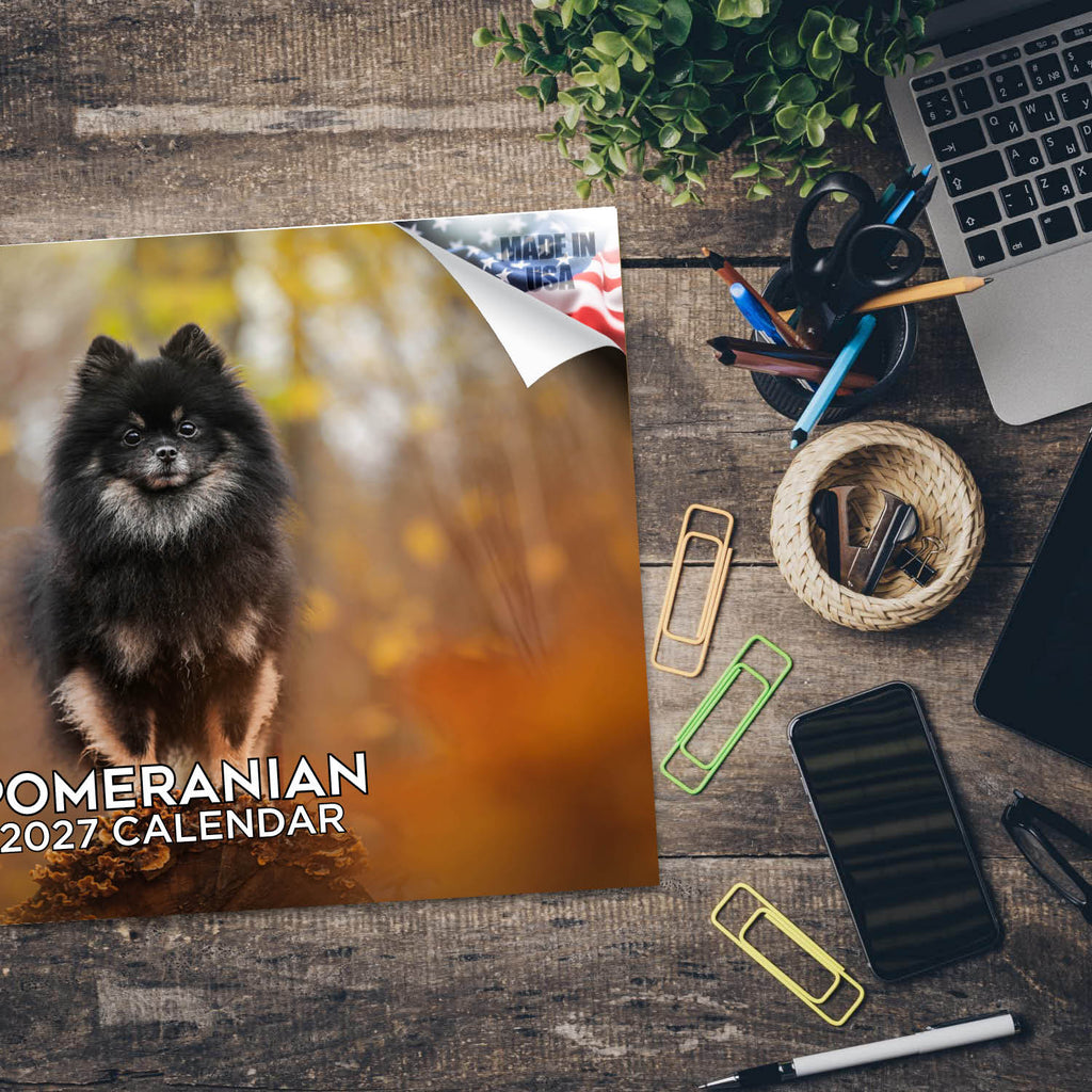 Pomeranian Wall Calendar 2027 - 12" x 9" 14-Month Dog Breed Calendar