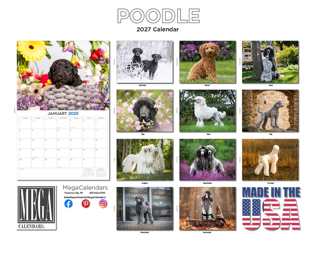 Poodle Wall Calendar 2027 - 12" x 9" 14-Month Dog Breed Calendar