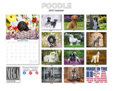 Poodle Wall Calendar 2027 - 12" x 9" 14-Month Dog Breed Calendar