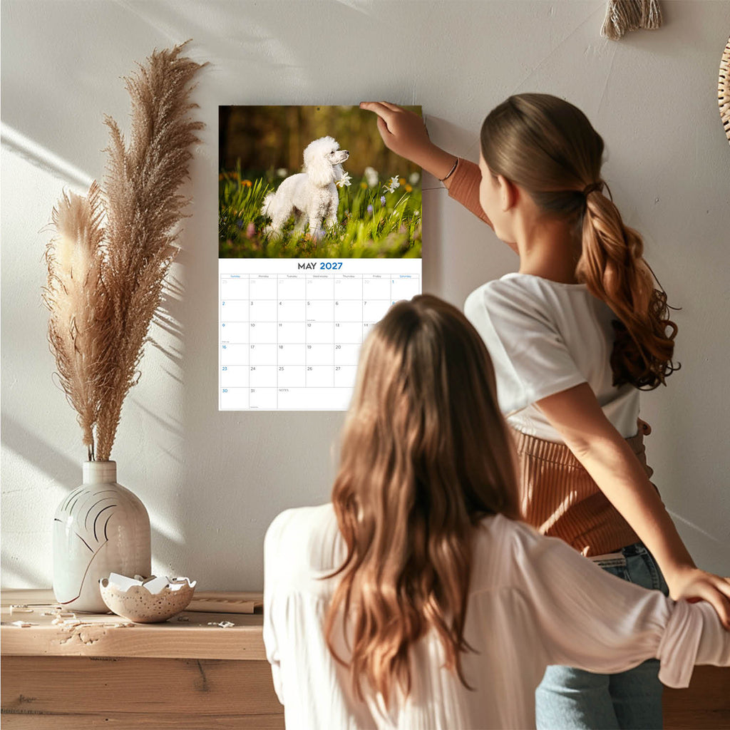 Toy & Miniature Poodle Wall Calendar 2027 - 12" x 9" 14-Month Dog Breed Calendar