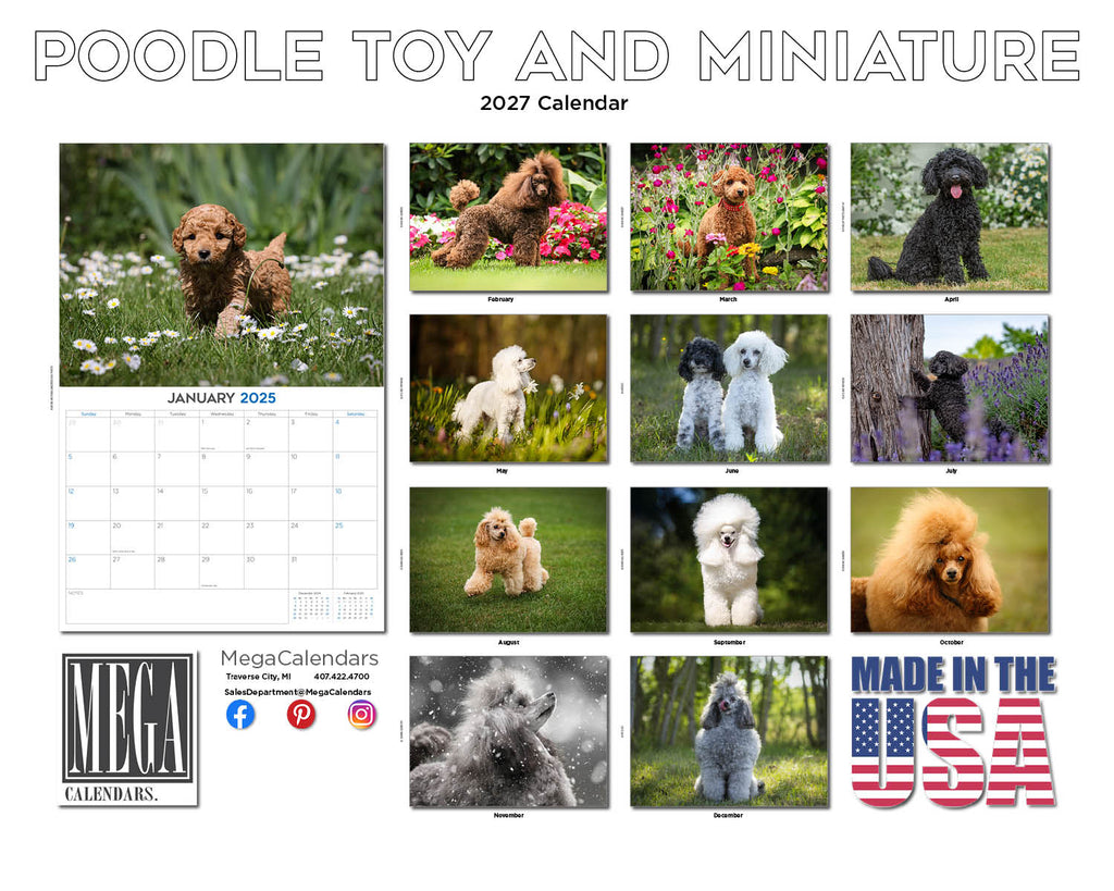 Toy & Miniature Poodle Wall Calendar 2027 - 12" x 9" 14-Month Dog Breed Calendar