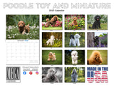 Toy & Miniature Poodle Wall Calendar 2027 - 12" x 9" 14-Month Dog Breed Calendar