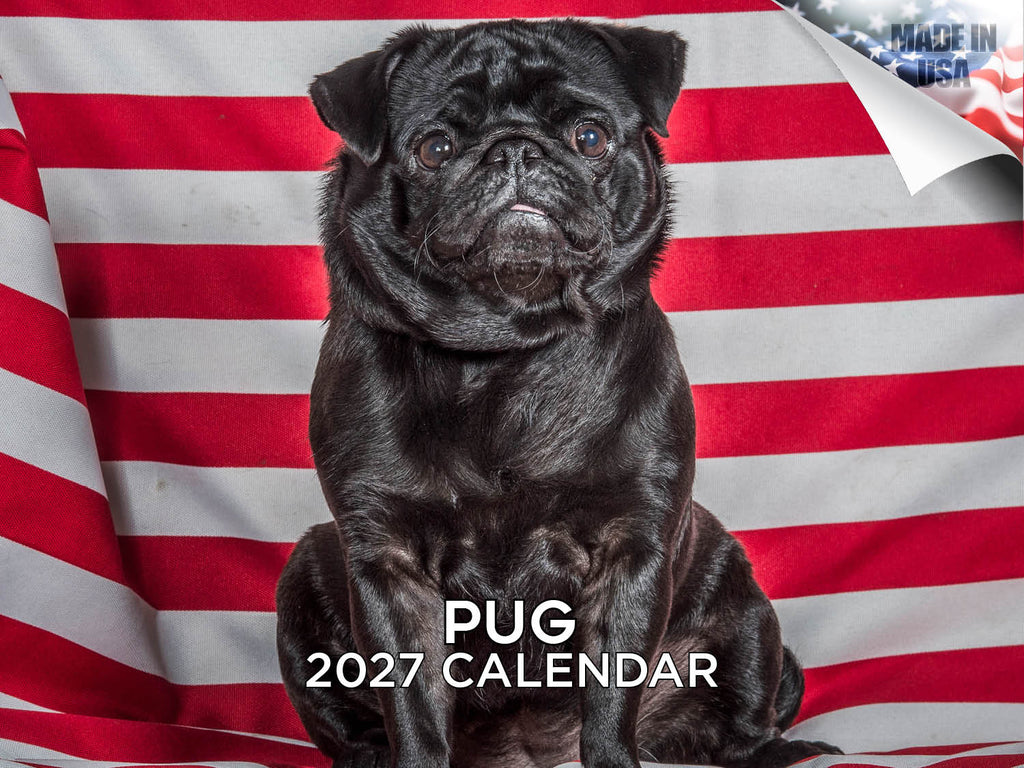 Pug Wall Calendar 2027 - 12" x 9" 14-Month Dog Breed Calendar