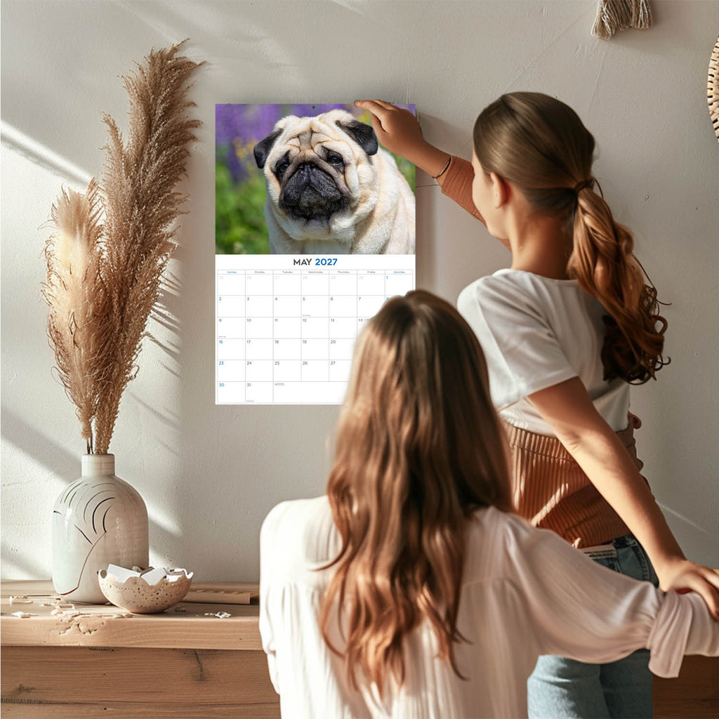 Pug Wall Calendar 2027 - 12" x 9" 14-Month Dog Breed Calendar