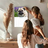 Pug Wall Calendar 2027 - 12" x 9" 14-Month Dog Breed Calendar