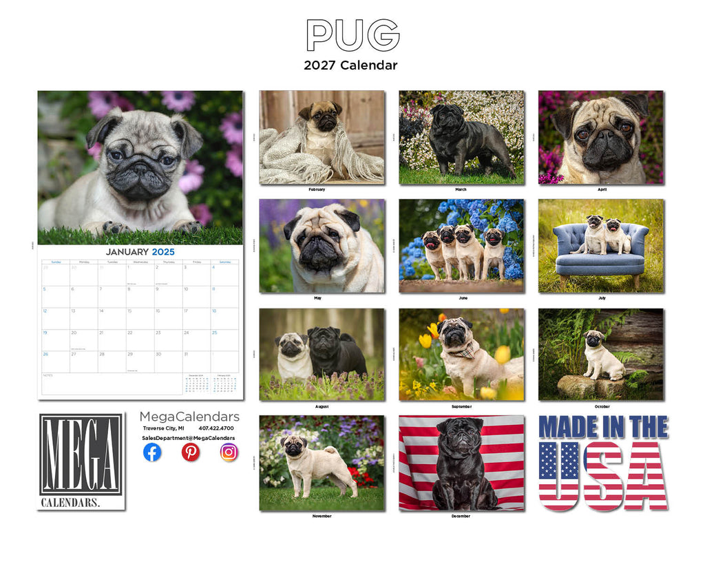 Pug Wall Calendar 2027 - 12" x 9" 14-Month Dog Breed Calendar
