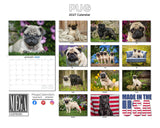Pug Wall Calendar 2027 - 12" x 9" 14-Month Dog Breed Calendar