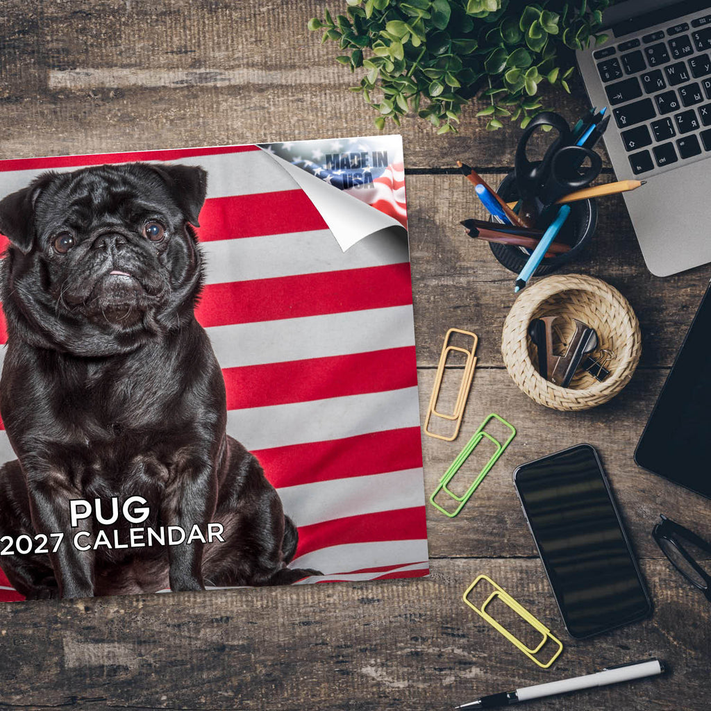 Pug Wall Calendar 2027 - 12" x 9" 14-Month Dog Breed Calendar