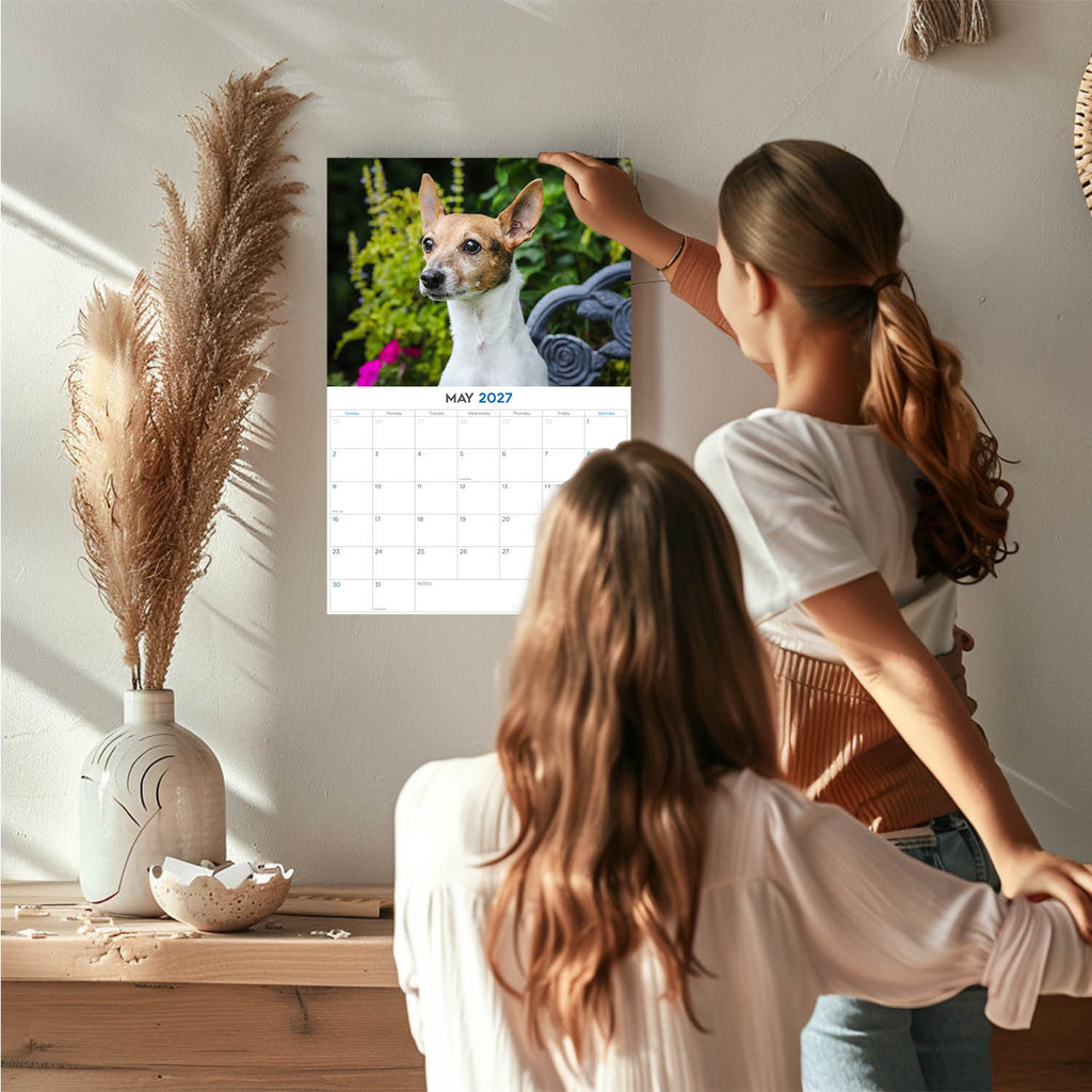 Rat Terrier Wall Calendar 2027 - 12" x 9" 14-Month Dog Breed Calendar