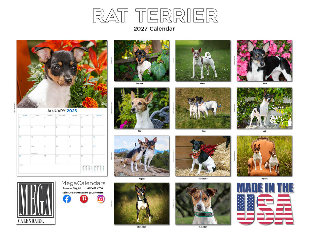 Rat Terrier Wall Calendar 2027 - 12" x 9" 14-Month Dog Breed Calendar
