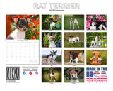 Rat Terrier Wall Calendar 2027 - 12" x 9" 14-Month Dog Breed Calendar