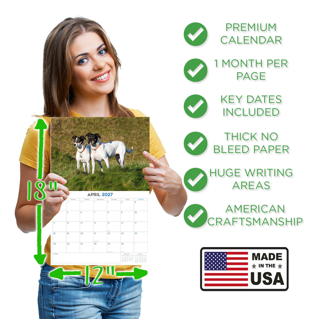 Rat Terrier Wall Calendar 2027 - 12" x 9" 14-Month Dog Breed Calendar