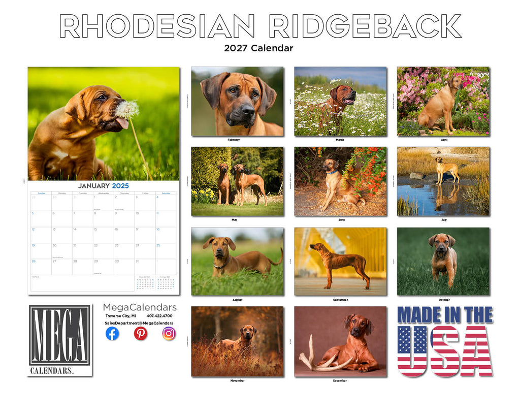 Rhodesian Ridgeback Wall Calendar 2027 - 12" x 9" 14-Month Dog Breed Calendar