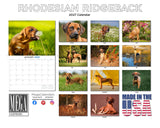Rhodesian Ridgeback Wall Calendar 2027 - 12" x 9" 14-Month Dog Breed Calendar