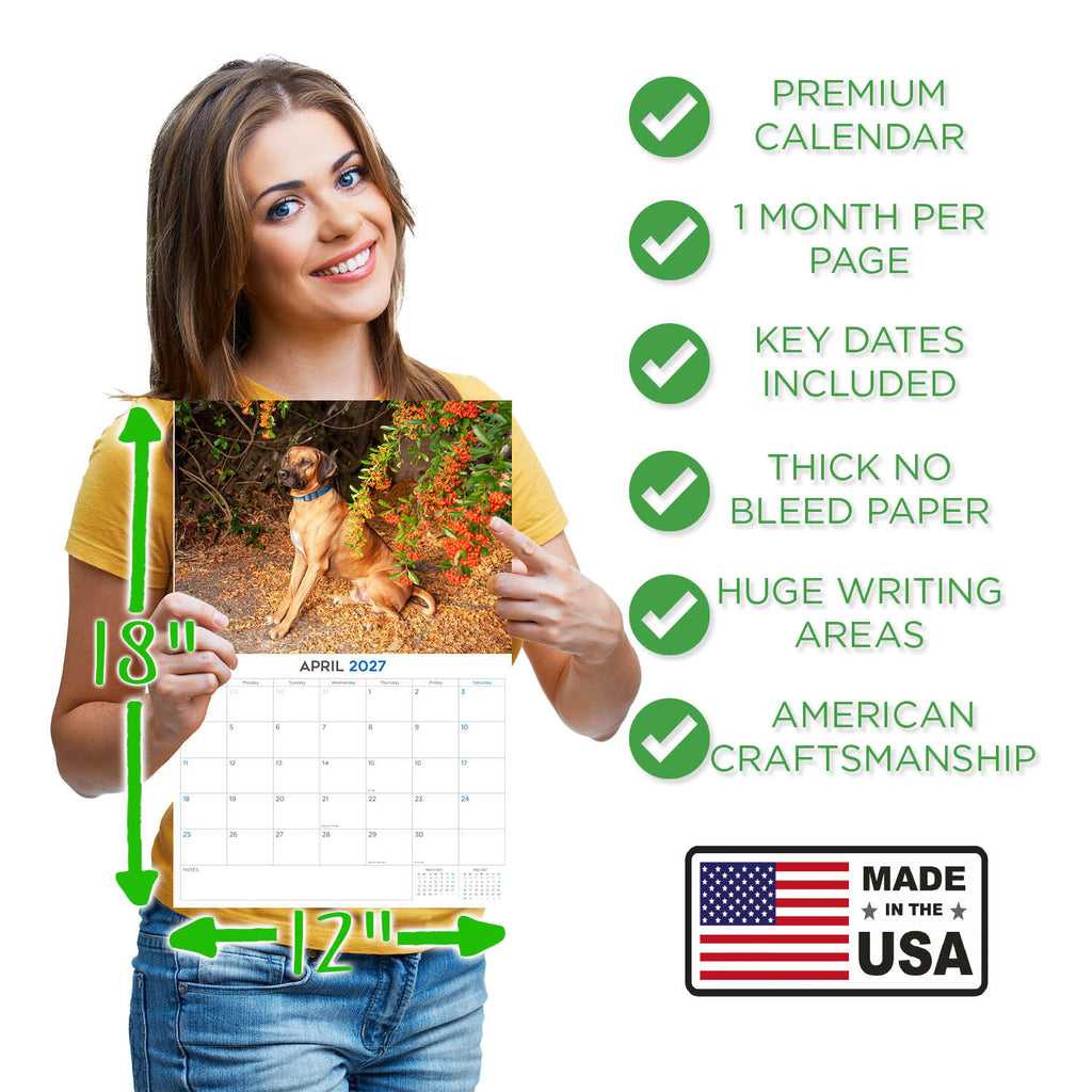 Rhodesian Ridgeback Wall Calendar 2027 - 12" x 9" 14-Month Dog Breed Calendar