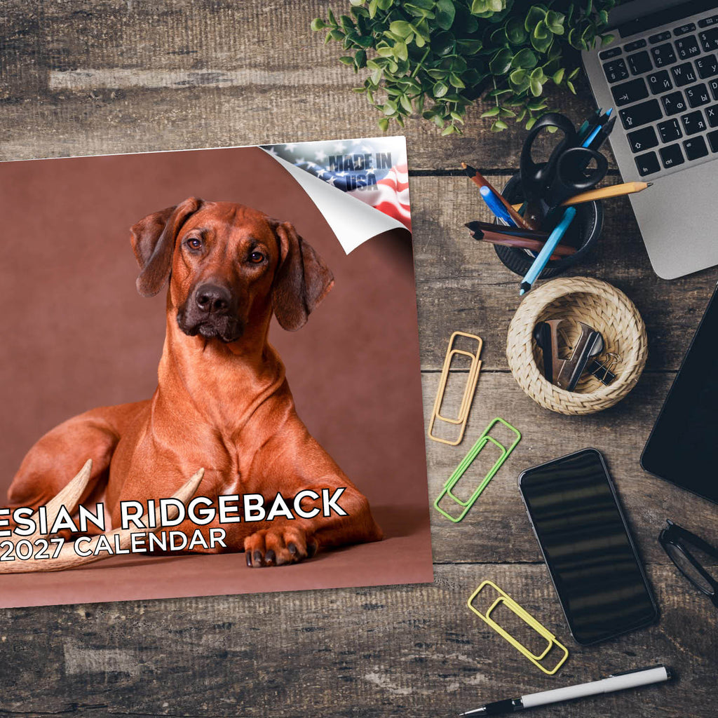 Rhodesian Ridgeback Wall Calendar 2027 - 12" x 9" 14-Month Dog Breed Calendar