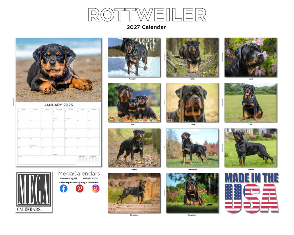 Rottweiler Wall Calendar 2027 - 12" x 9" 14-Month Dog Breed Calendar