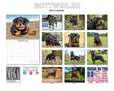 Rottweiler Wall Calendar 2027 - 12" x 9" 14-Month Dog Breed Calendar