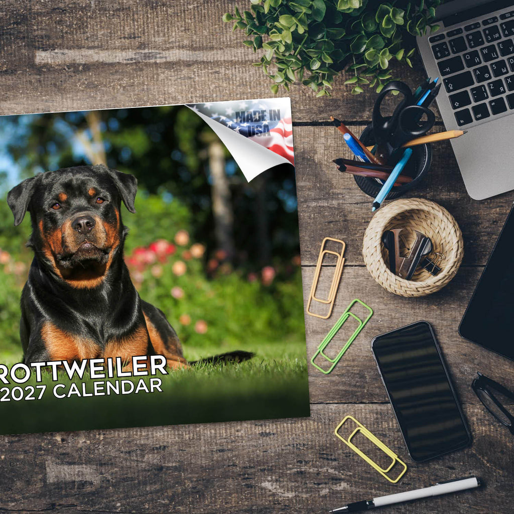 Rottweiler Wall Calendar 2027 - 12" x 9" 14-Month Dog Breed Calendar