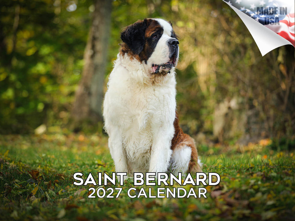 Saint Bernard Wall Calendar 2027 - 12" x 9" 14-Month Dog Breed Calendar