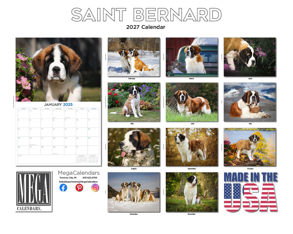 Saint Bernard Wall Calendar 2027 - 12" x 9" 14-Month Dog Breed Calendar