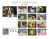Saint Bernard Wall Calendar 2027 - 12" x 9" 14-Month Dog Breed Calendar