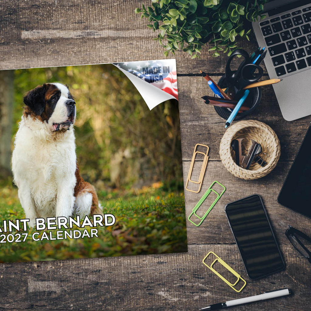 Saint Bernard Wall Calendar 2027 - 12" x 9" 14-Month Dog Breed Calendar