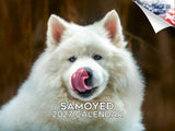 Samoyed Wall Calendar 2027 - 12" x 9" 14-Month Dog Breed Calendar