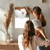 Samoyed Wall Calendar 2027 - 12" x 9" 14-Month Dog Breed Calendar