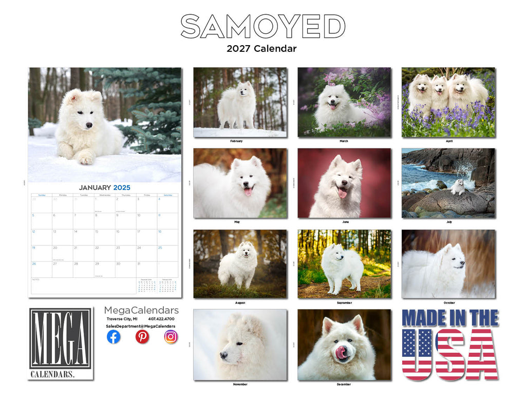 Samoyed Wall Calendar 2027 - 12" x 9" 14-Month Dog Breed Calendar