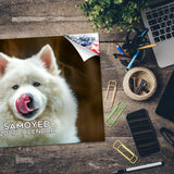 Samoyed Wall Calendar 2027 - 12" x 9" 14-Month Dog Breed Calendar