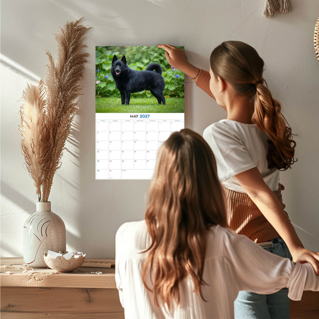 Schipperke Wall Calendar 2027 - 12" x 9" 14-Month Dog Breed Calendar