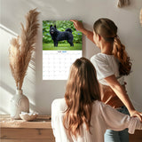 Schipperke Wall Calendar 2027 - 12" x 9" 14-Month Dog Breed Calendar