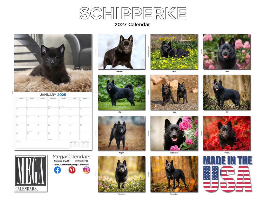 Schipperke Wall Calendar 2027 - 12" x 9" 14-Month Dog Breed Calendar