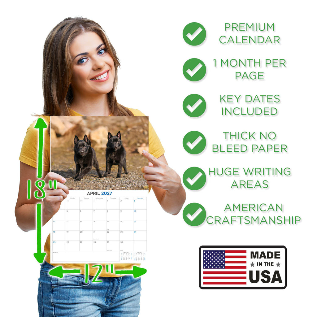 Schipperke Wall Calendar 2027 - 12" x 9" 14-Month Dog Breed Calendar