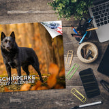 Schipperke Wall Calendar 2027 - 12" x 9" 14-Month Dog Breed Calendar