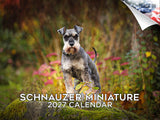 Miniature Schnauzer Wall Calendar 2027 - 12" x 9" 14-Month Dog Breed Calendar