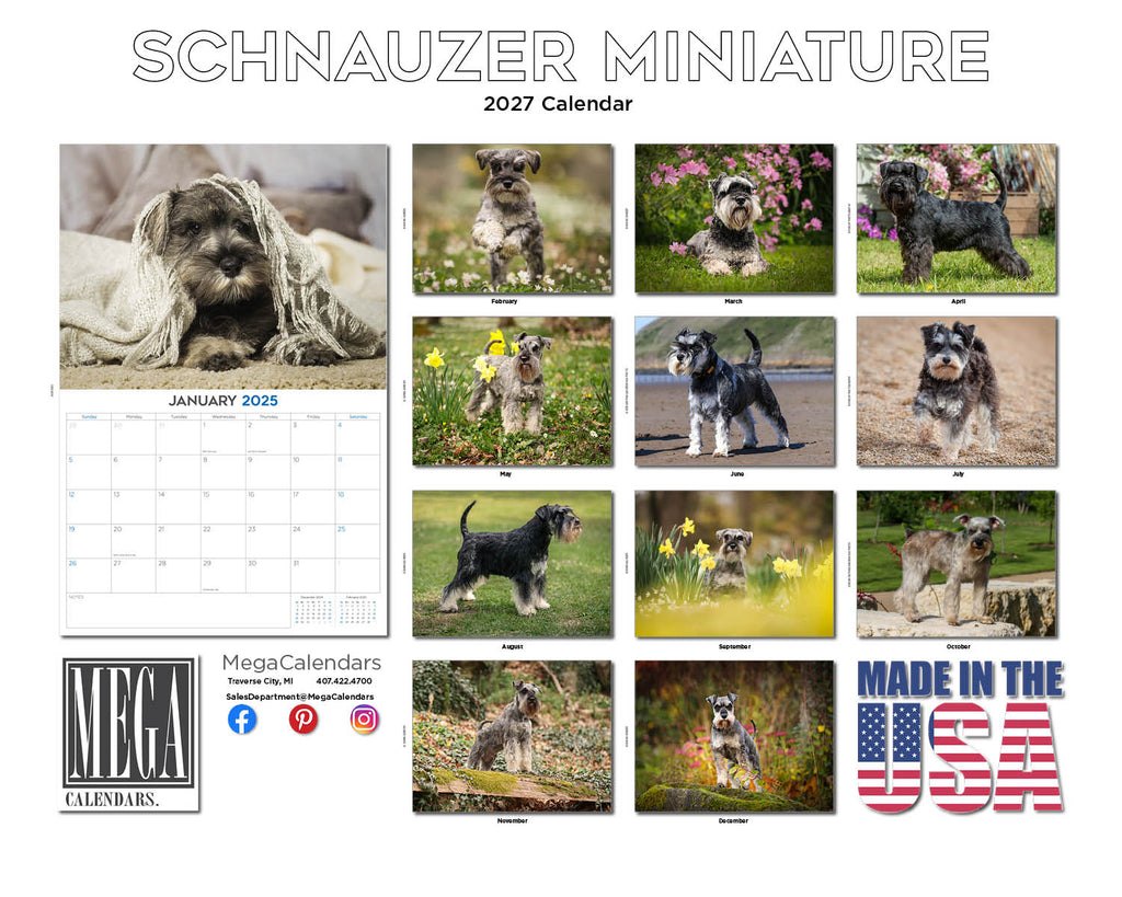 Miniature Schnauzer Wall Calendar 2027 - 12" x 9" 14-Month Dog Breed Calendar