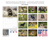 Miniature Schnauzer Wall Calendar 2027 - 12" x 9" 14-Month Dog Breed Calendar