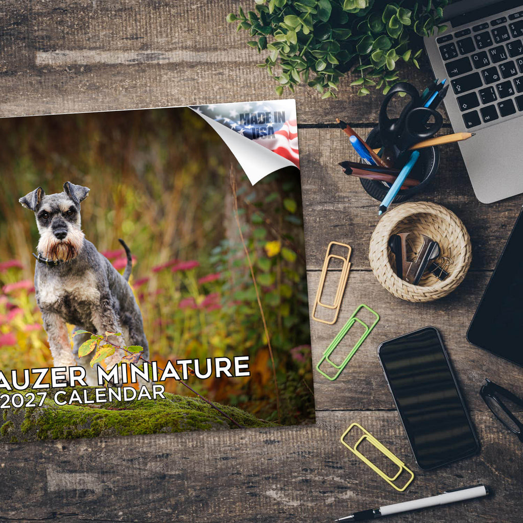 Miniature Schnauzer Wall Calendar 2027 - 12" x 9" 14-Month Dog Breed Calendar