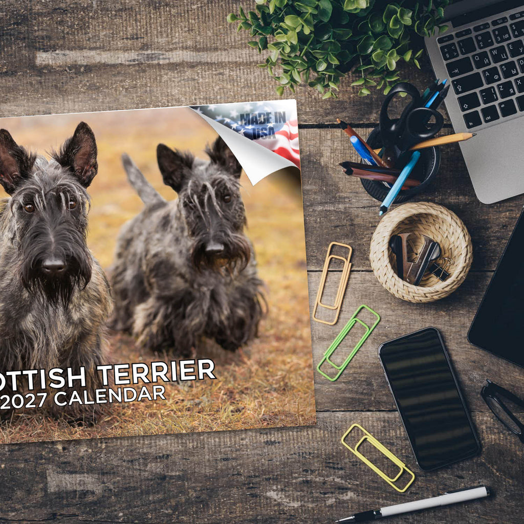 Scottish Terrier Wall Calendar 2027 - 12" x 9" 14-Month Dog Breed Calendar