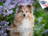 Shetland Sheepdog Wall Calendar 2027 - 12" x 9" 14-Month Dog Breed Calendar