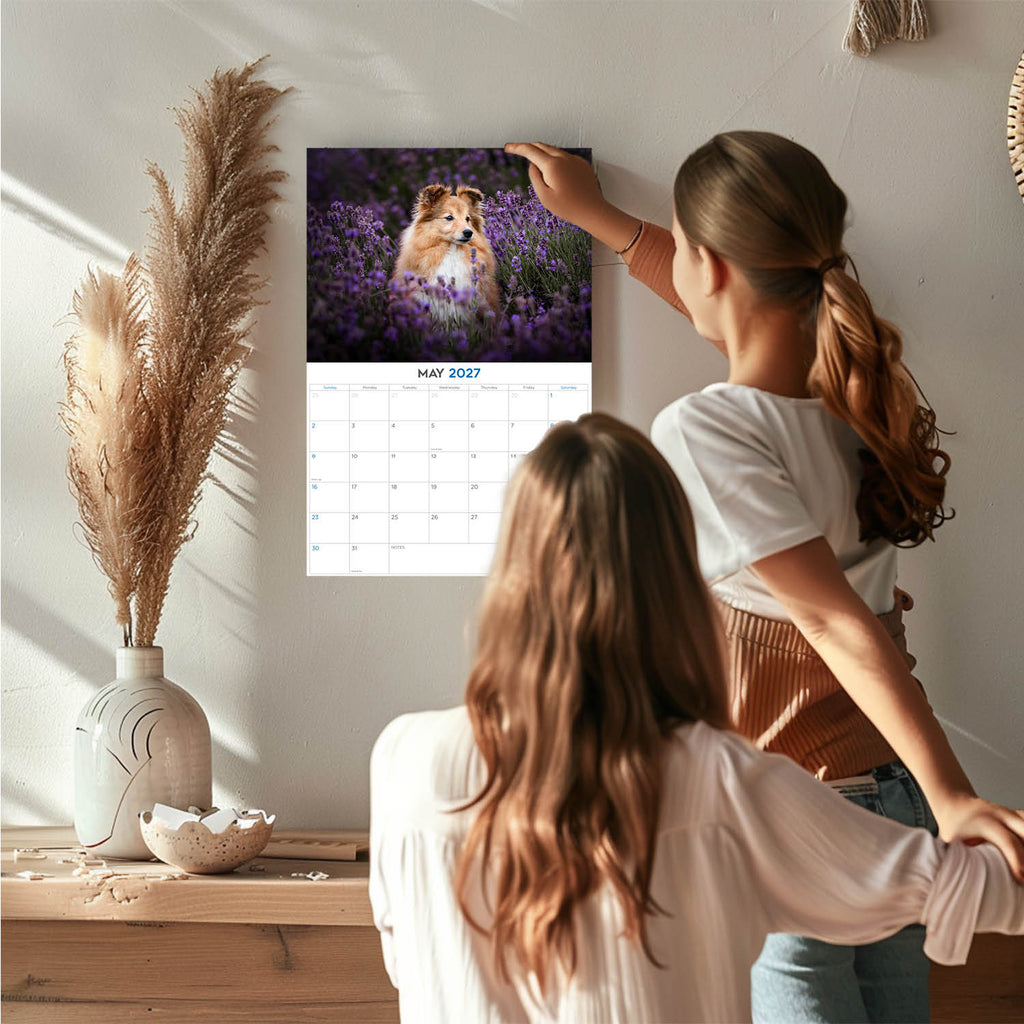 Shetland Sheepdog Wall Calendar 2027 - 12" x 9" 14-Month Dog Breed Calendar
