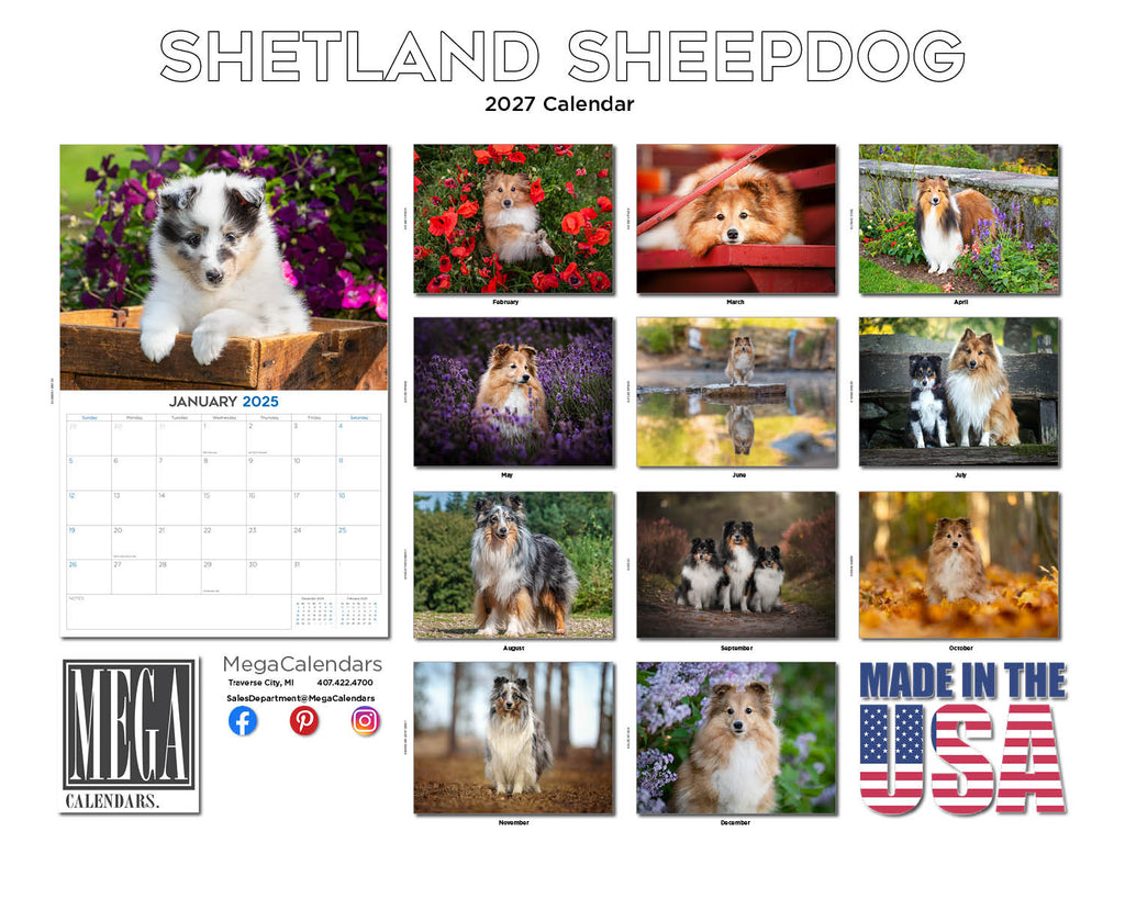 Shetland Sheepdog Wall Calendar 2027 - 12" x 9" 14-Month Dog Breed Calendar