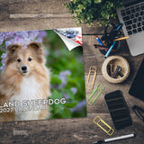 Shetland Sheepdog Wall Calendar 2027 - 12" x 9" 14-Month Dog Breed Calendar