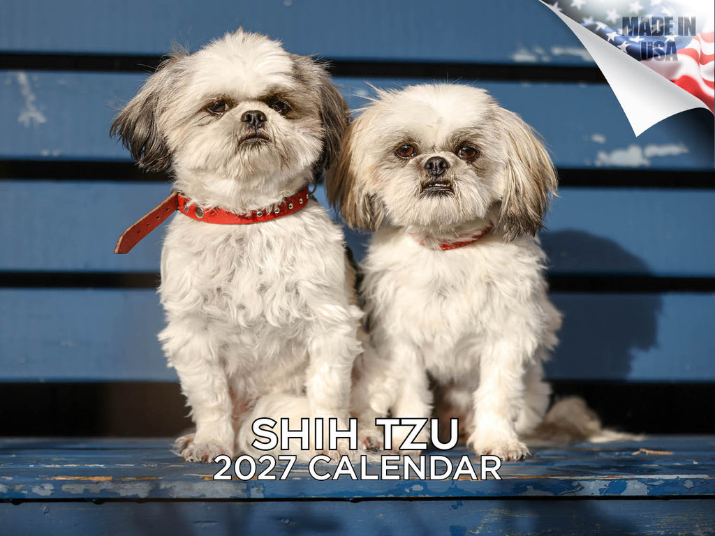 Shih Tzu Wall Calendar 2027 - 12" x 9" 14-Month Dog Breed Calendar