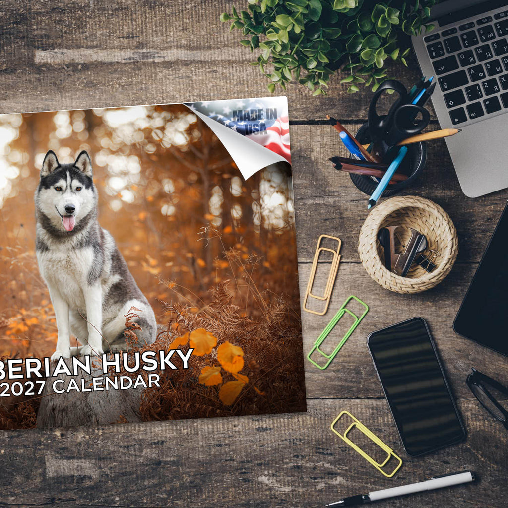 Siberian Husky Wall Calendar 2027 - 12" x 9" 14-Month Dog Breed Calendar