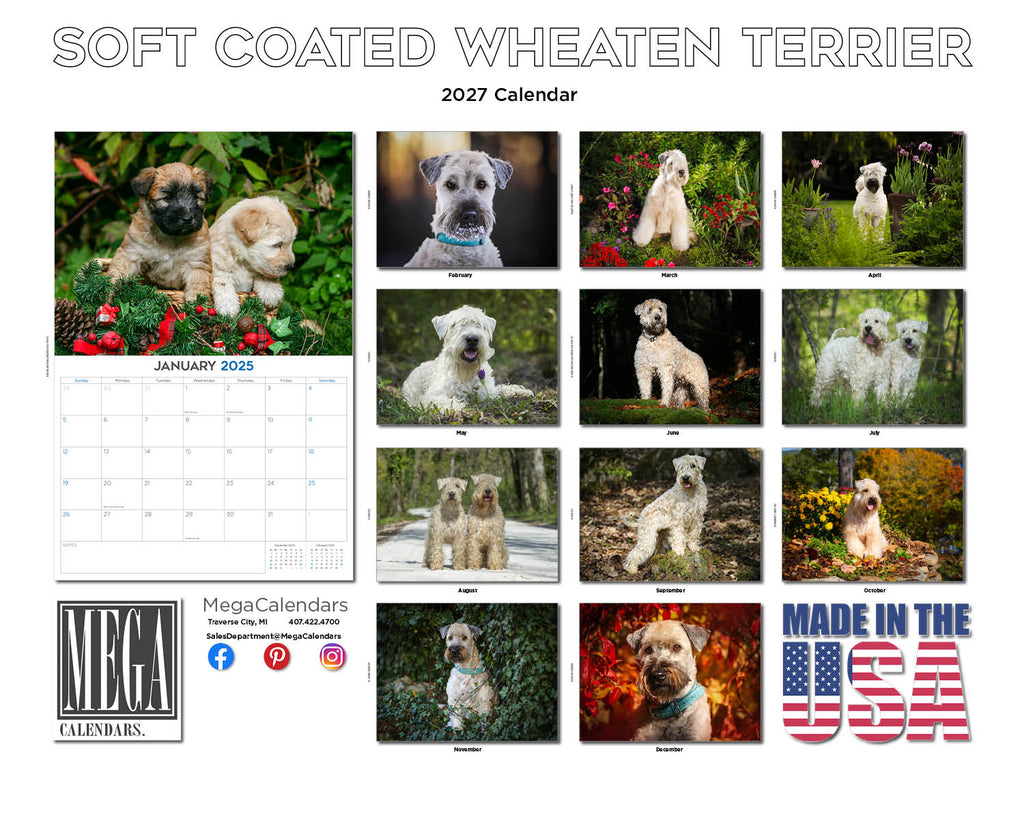 Soft Coated Wheaten Terrier Wall Calendar 2027 - 12" x 9" 14-Month Dog Breed